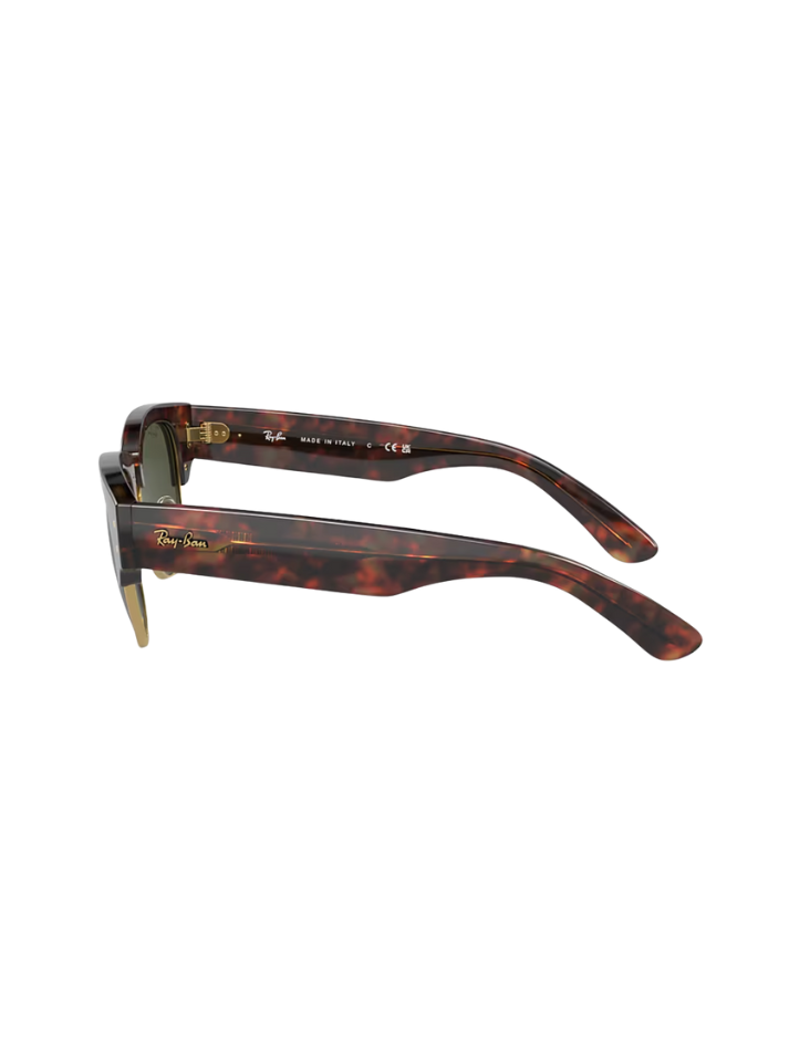 Lentes Mega Club Master Tortoise Arista Green -7026