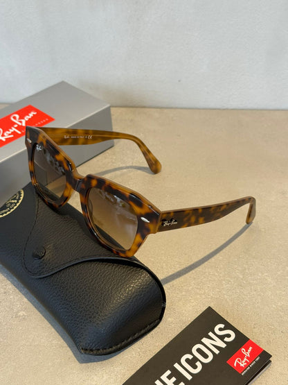 Lentes State Street Brown Havana 7179