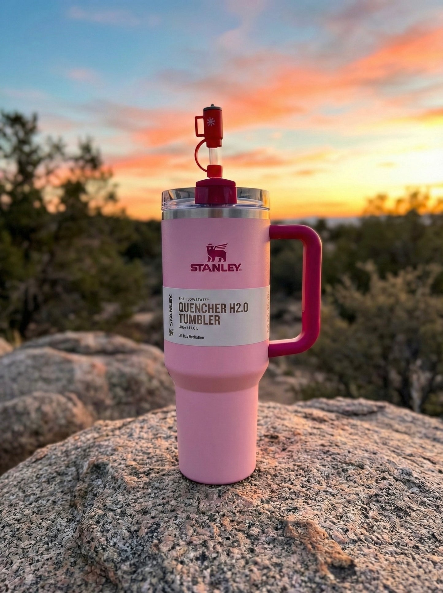 Stanley 40oz Flamingo -7049