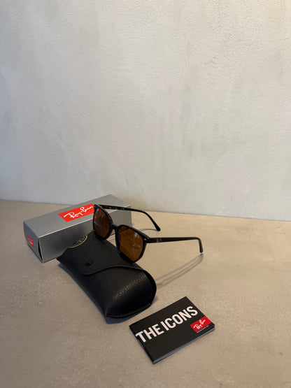 RAYBAN ELLIOT Brown Polished Havana - 7157