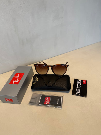 RAYBAN Ericka Tortoise Gradient Brown -7015