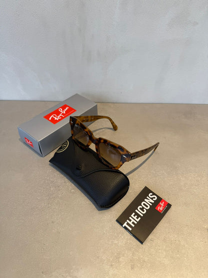 Lentes State Street Brown Havana 7179